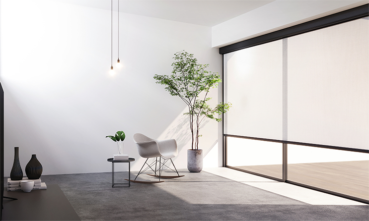 Interior Ziptrak Blinds